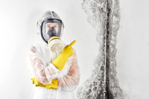 Best Mold Prevention Services  in Mustang, OK