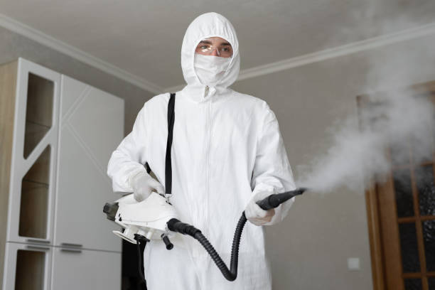 Why You Should Choose Our Mold Remediation Services in Mustang, OK